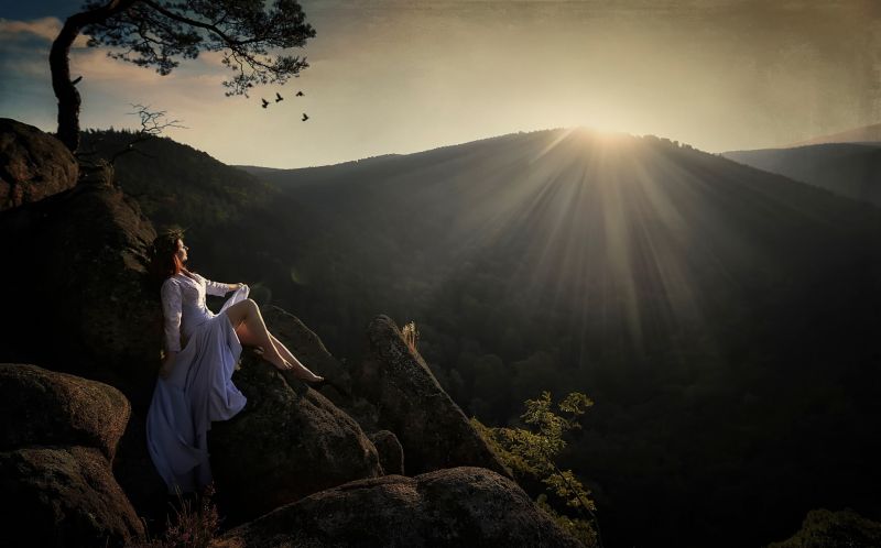 sunlight, trees, women outdoors, women, model, sunset sunlight, trees, women outdoors, women, model, sunset