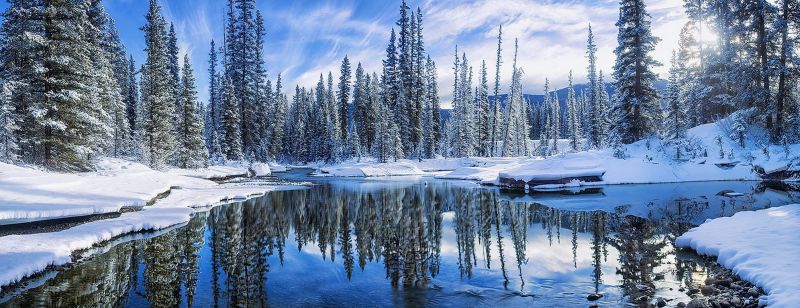 landscape, forest, white, water, nature, lake landscape, forest, white, water, nature, lake