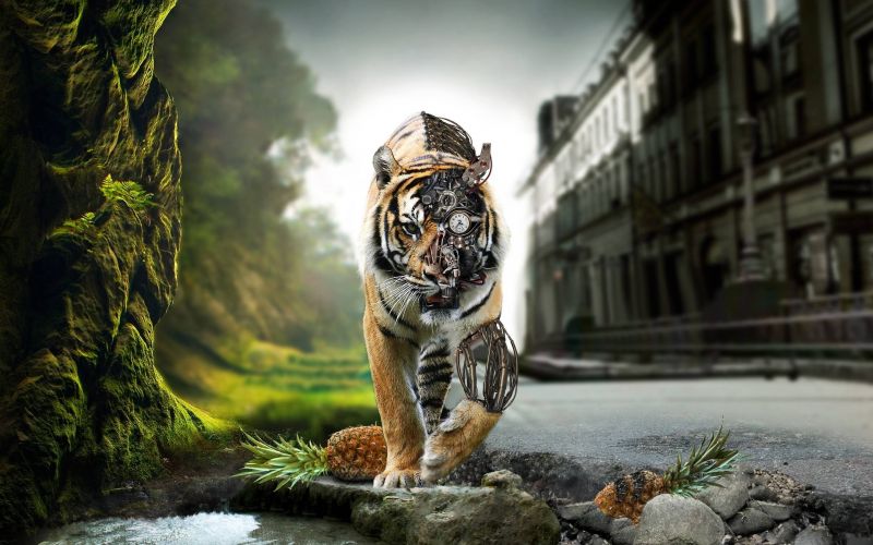 photo manipulation,animals,robot,tiger,steampunk,gears