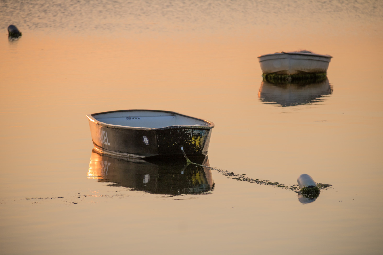 จิตรกรรม, เรือ, พระอาทิตย์ตก, ทะเล, น้ำ, การสะท้อน, ท้องฟ้า, ผนัง, ไม้, พระอาทิตย์ขึ้น, สีน้ำเงิน, โซล, ศิลปะ, เบา, สี, เมฆ, goldenhour, แสง, himmel, solnedg ng, Vatten, fiskehoddorna, hav, b t, ลินคอล์น, h llviken, รูปร่าง, exif model canoneos760d, ประเทศธรณีวิทยา, กล้องทำให้ Canon, geocity, กล้องรุ่น canoneos760d, geostate, ตำแหน่งทางภูมิศาสตร์, เลนส์ Exifs efs18200mmf3556is, รูรับแสง 56, exif ทำให้ canon, exif isospeed 160, ความยาวคลื่น exif 180 มม, gyllenetimmen, บรรยากาศของโลก
