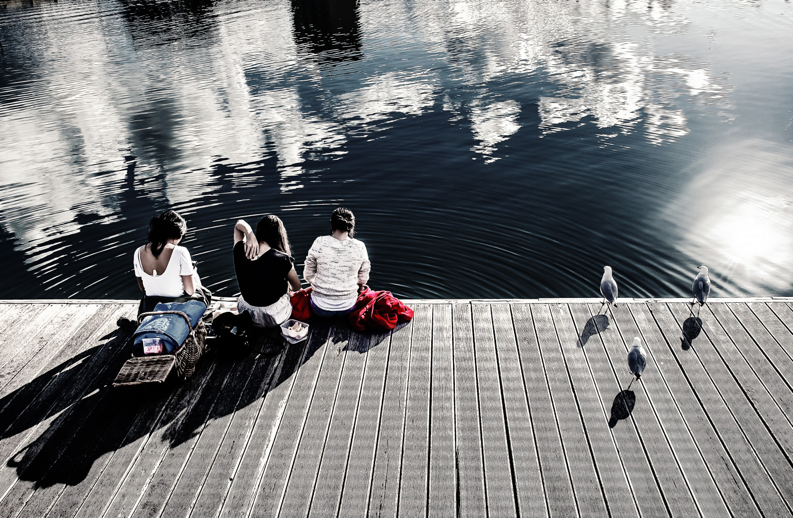 water, reflectie, strand, Zon, Melbourne, stralen, meisje, zeemeeuw, pret, haven, recreatie