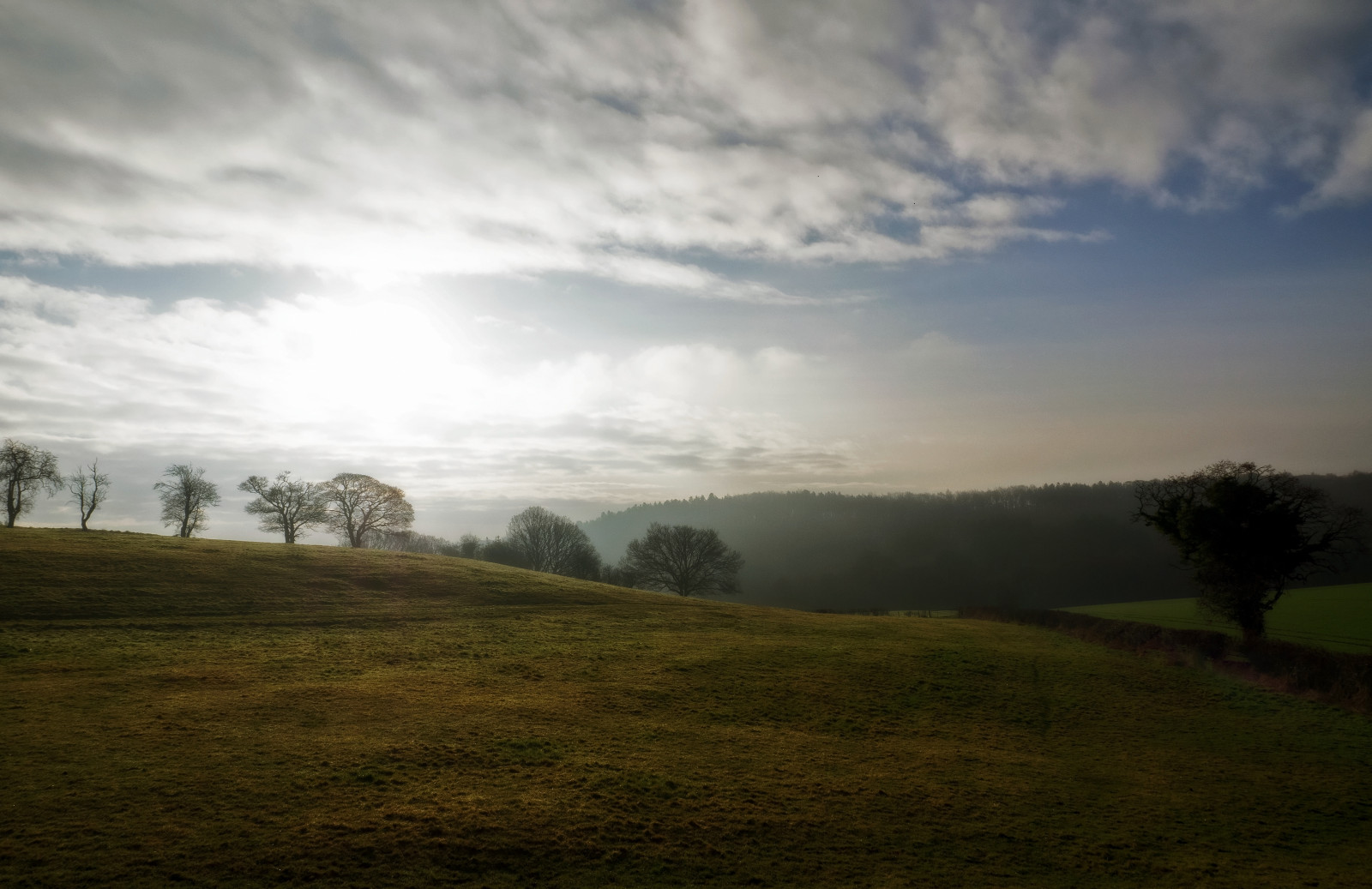 slunečnímu záření, stromy, krajina, západ slunce, kopec, Příroda, tráva, nebe, pole, svítání, večer, ráno, mlha, slunce, horizont, Prvky, soumrak, opar, 12, Olympus, mrak, strom, 50mm, hora, počasí, svítání, lučina, louka, OMD, prostý, EM1, prérie, venkov, atmosférický jev, horských reliéf, meteorologický jev, Mosborough, Eckington