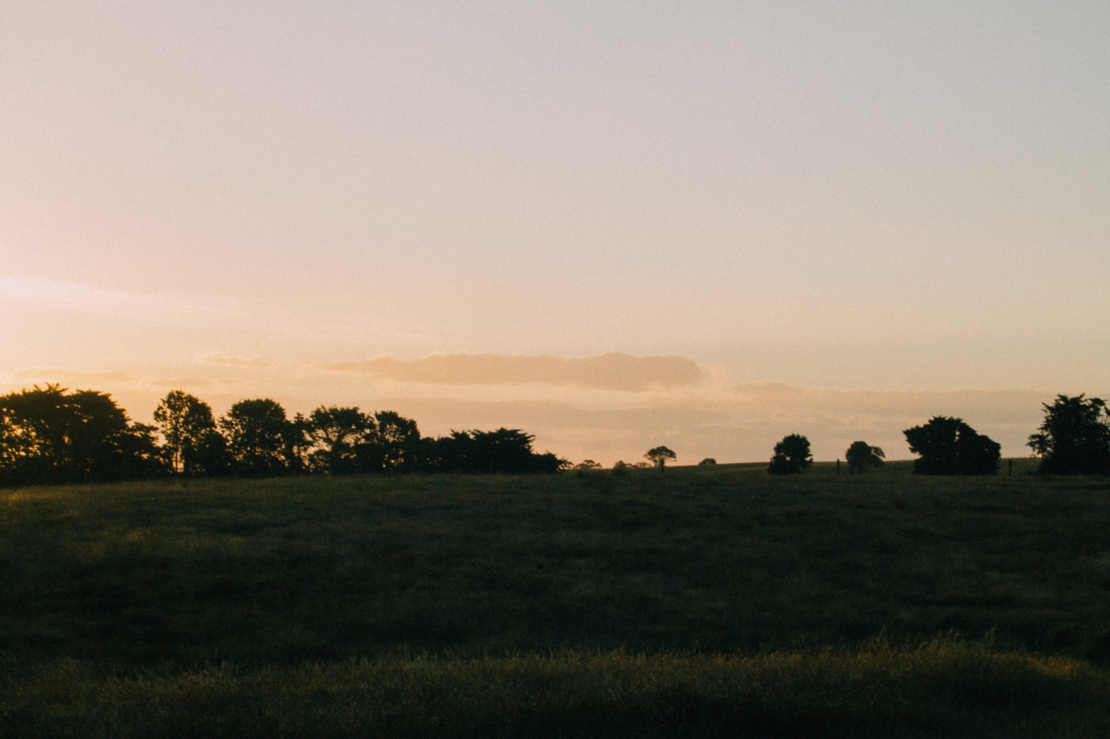 slunečnímu záření, stromy, krajina, západ slunce, kopec, Příroda, nebe, pole, silueta, svítání, žlutý, modrý, večer, ráno, mlha, Kánon, horizont, soumrak, Austrálie, fotoaparát značky kodak, Victoria, Lightroom, mrak, strom, zlatý, svítání, lučina, kodakgold100, Johnsonville, Bairnsdale, prostý, prérie, venkov, přírodní prostředí, atmosférický jev, savana