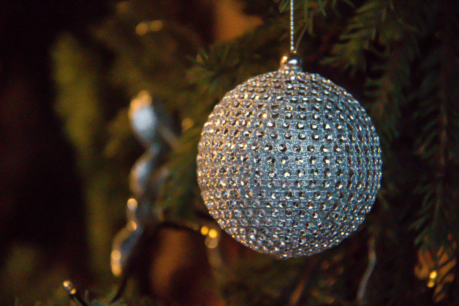 afdeling, jul, Danmark, København, lys, blomst, xmas, belysning, juli, danmark, k penhamn, tivoli, kopenhavn, juledekoration, makrofotografering, lysarmatur