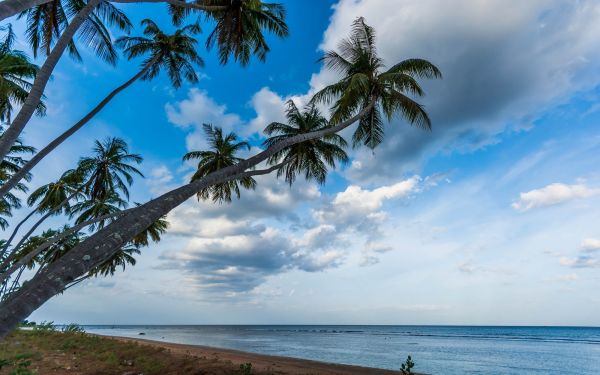 landscape, sea, bay, water, nature, shore