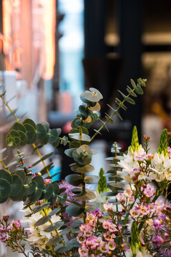 people, food, Sweden, green, blossom, spring