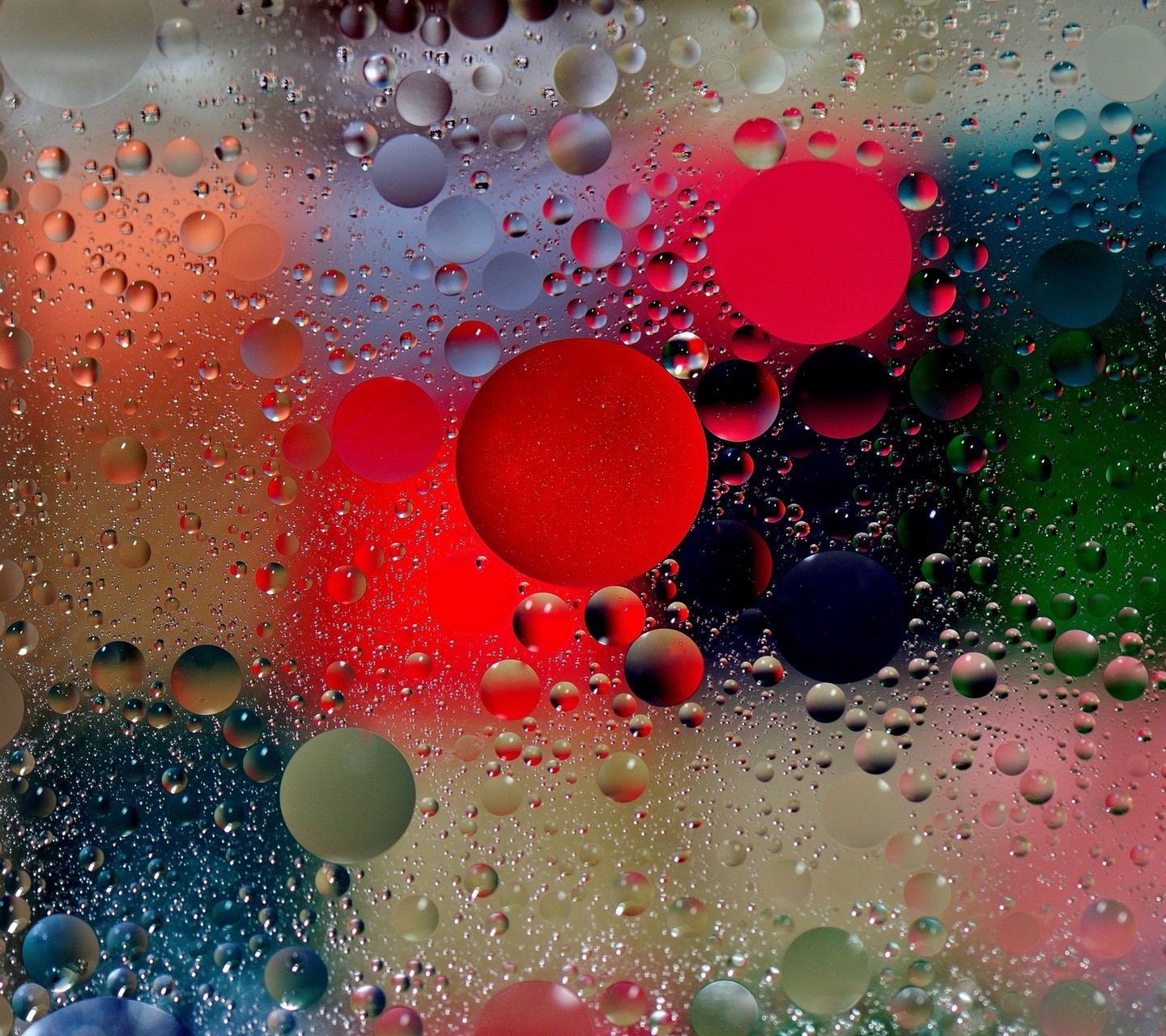 My Image 51