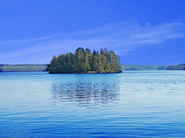 sea, landscape, forest, bay, lake, water