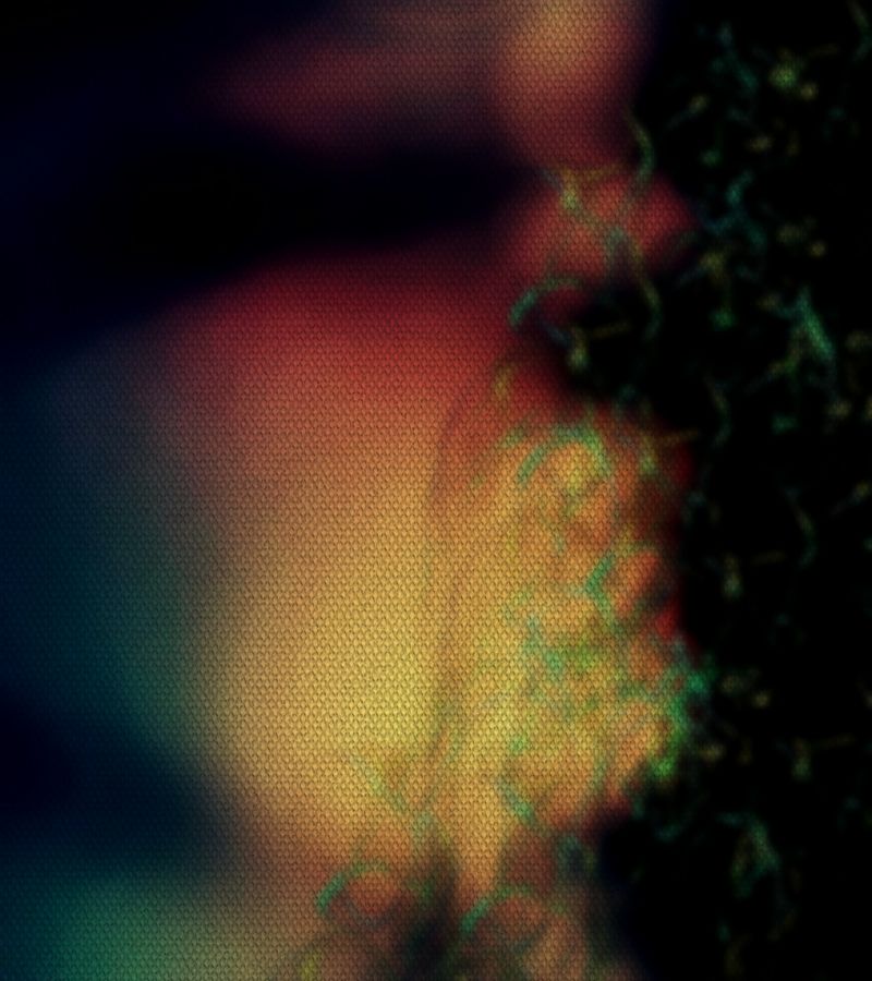 阳光,红,反射,绿色,模式,Android操作系统