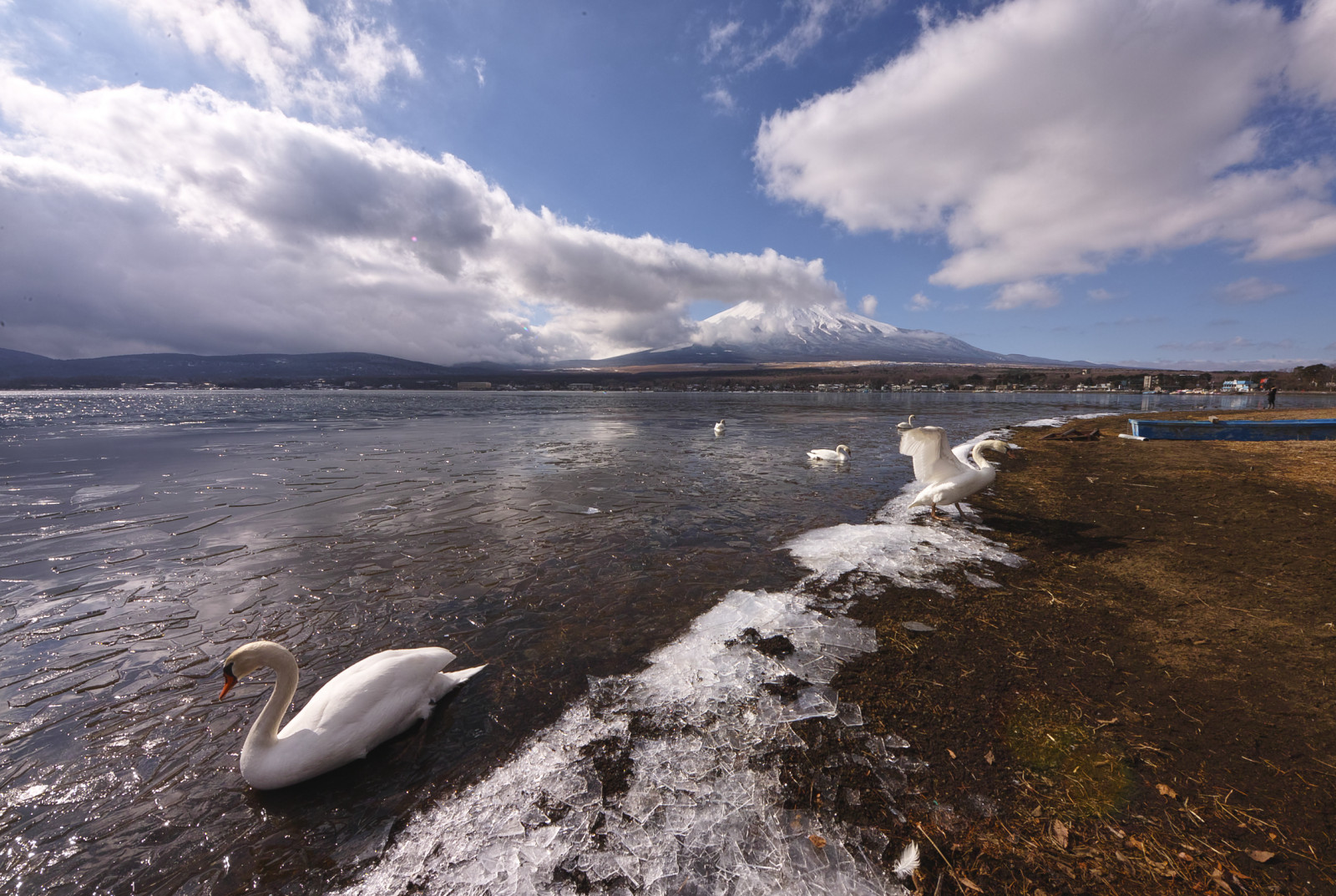 Japan, Digital, Schwan, Sigma, Berg Fuji, Sd1, Platinumfoto