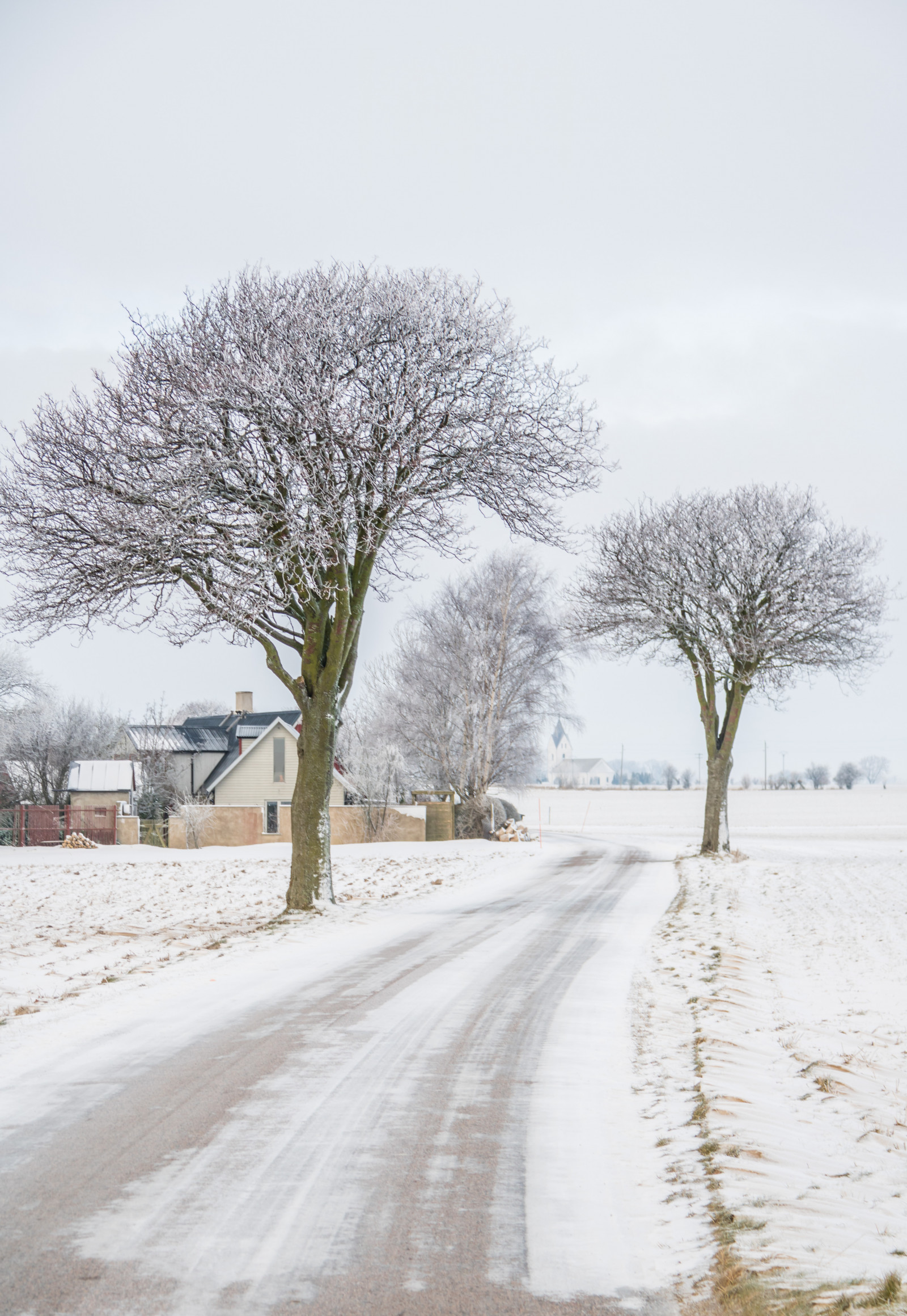 landskab, himmel, sne, vinter, vej, afdeling, morgen, frost, rime, Fryser, træ, landskab, vejr, plante, sæson, himmel, vinter, tr d, landskap, VAG, rimfrost, tre, snestorm, atmosfærisk fænomen, vedplante, vinter storm, regn og sne blandet