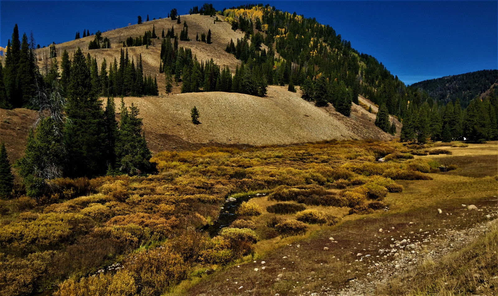 High Wooded Ridge Example Wallpaper : nature, wilderness, mountainous landforms, sky, hill, ridge ...