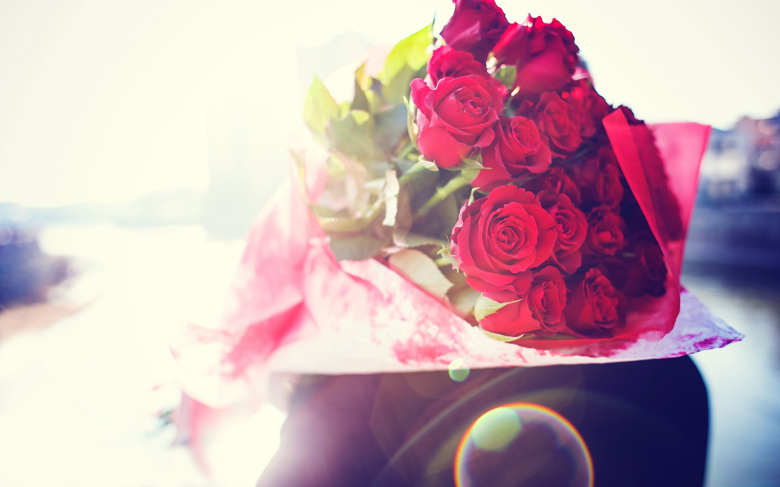 7000+ Wallpaper Bunga Rose 3d HD Paling Baru 7000+ Wallpaper Bunga Rose 3d HD Paling Baru
