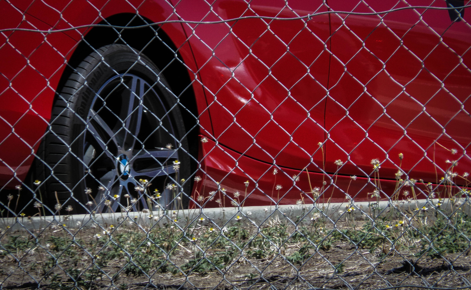 stín, Červené, Černá, zelená, auto, kolo, kov, plot, logo, beton, plevele, lesklý, parkoviště, hodně, Samsung, špína, Drobný, BMW, cyklón, časopis, pneumatika, theen, townsvilletrainstation