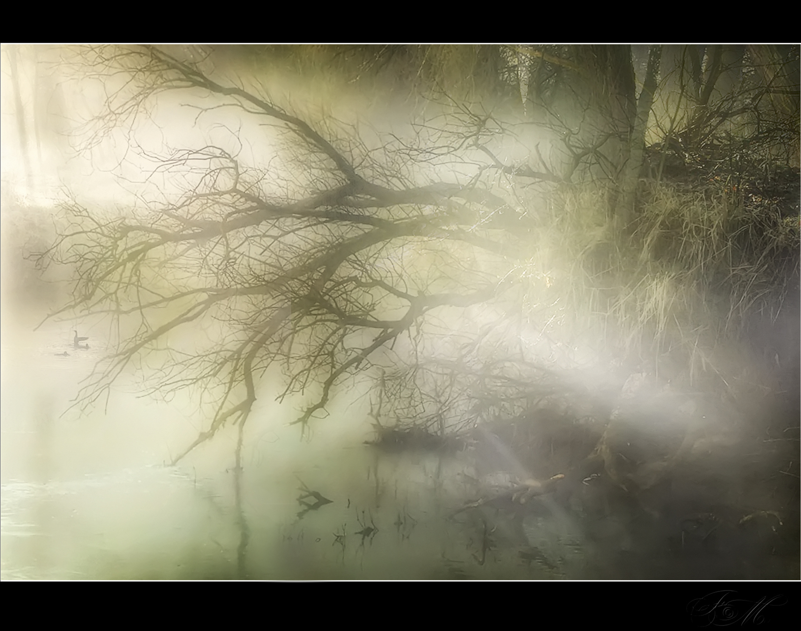 slunečnímu záření, krajina, Photoshop, jezero, voda, Příroda, fotografování, mraky, svítání, modrý, ráno, mlha, řeka, HDR, textura, atmosféra, 2013, Adobe, Blu, světlo, mlha, Italia, lago, tma, podrážka, sigma, obraz, obrázek, natura, štika, acqua, fiume, Nebbia, Photomatix, veneto, obraznost, alba, Snímek obrazovky, paesaggio, alberi, nuvole, atmosférický jev, počítač tapeta, mediterraneo, bellitalia, maurizio51rewinds