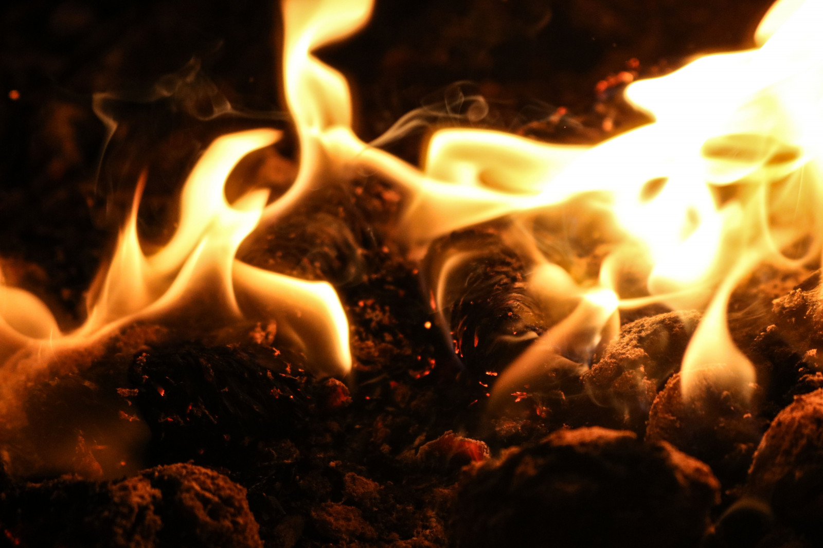 Wallpaper : bonfire, flame, fire 6000x4000 - - 1183794 - HD Wallpapers ...