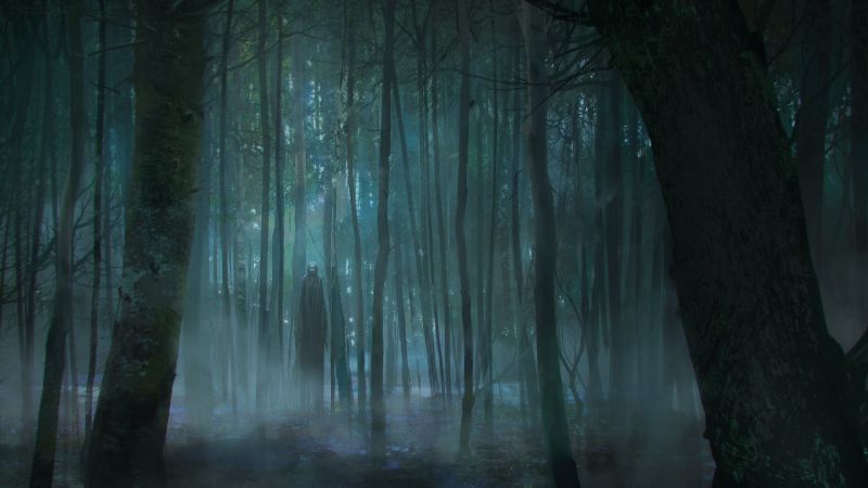 lumina soarelui,pădure,gheaţă,groază,aburi,atmosfera