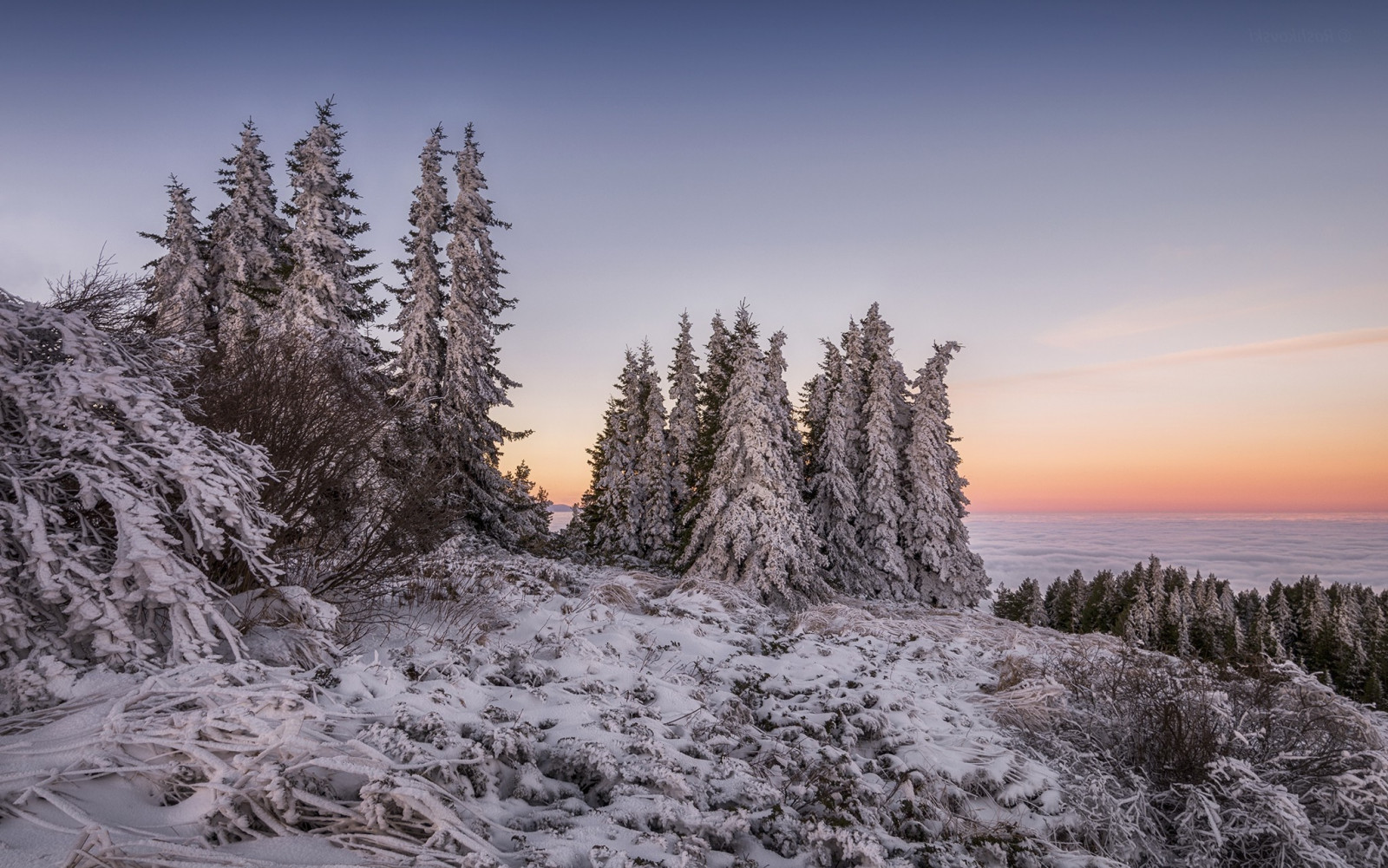 景观, 雪, 冬季, 冰, 早上, 霜, 荒野, 冷冻, 首脑, 岭, 树, 山, 天气, 季节, 木本植物, 多山地貌, 地质现象, 山脉, 2048x1282像素