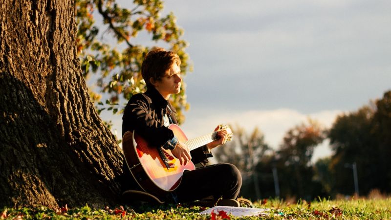 græs, guitar, fotografering, forår, efterår, sæson græs, guitar, fotografering, forår, efterår, sæson
