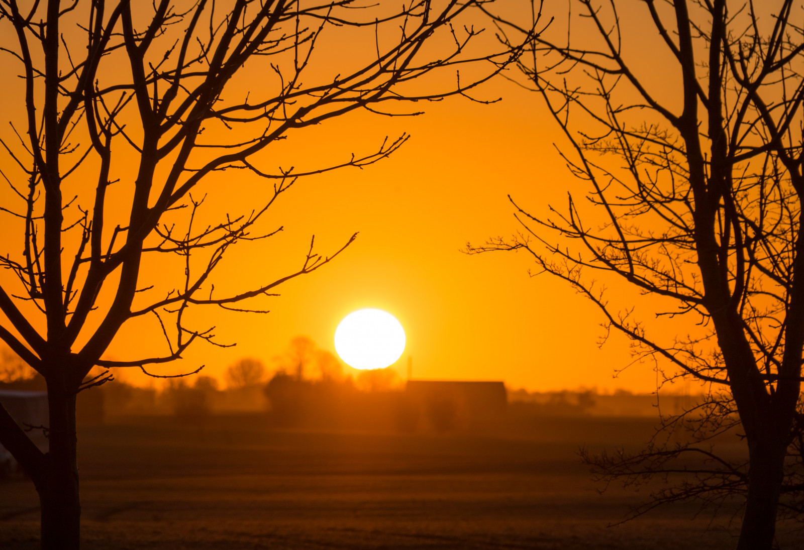 luce del sole, paesaggio, tramonto, natura, cielo, ramo, Alba, sera, mattina, nebbia, Sole, crepuscolo, Sol, albero, autunno, alba, himmel, tr d, campagna, landsbygd, soluppg ng, s dersl TT, Landskap, modello canoneos760d exif, geocountry, Marca fotocamera Canon, Geocity, modello di fotocamera canoneos760d, geostate, geolocalizzazione, Lente exif efs18200mmf3556is, exif fare canon, exif ISOSPEED 100, apertura exif 80, exif focalLength 180 millimetri, fenomeno atmosferico, ultimi bagliori, pianta legnosa, cielo rosso al mattino