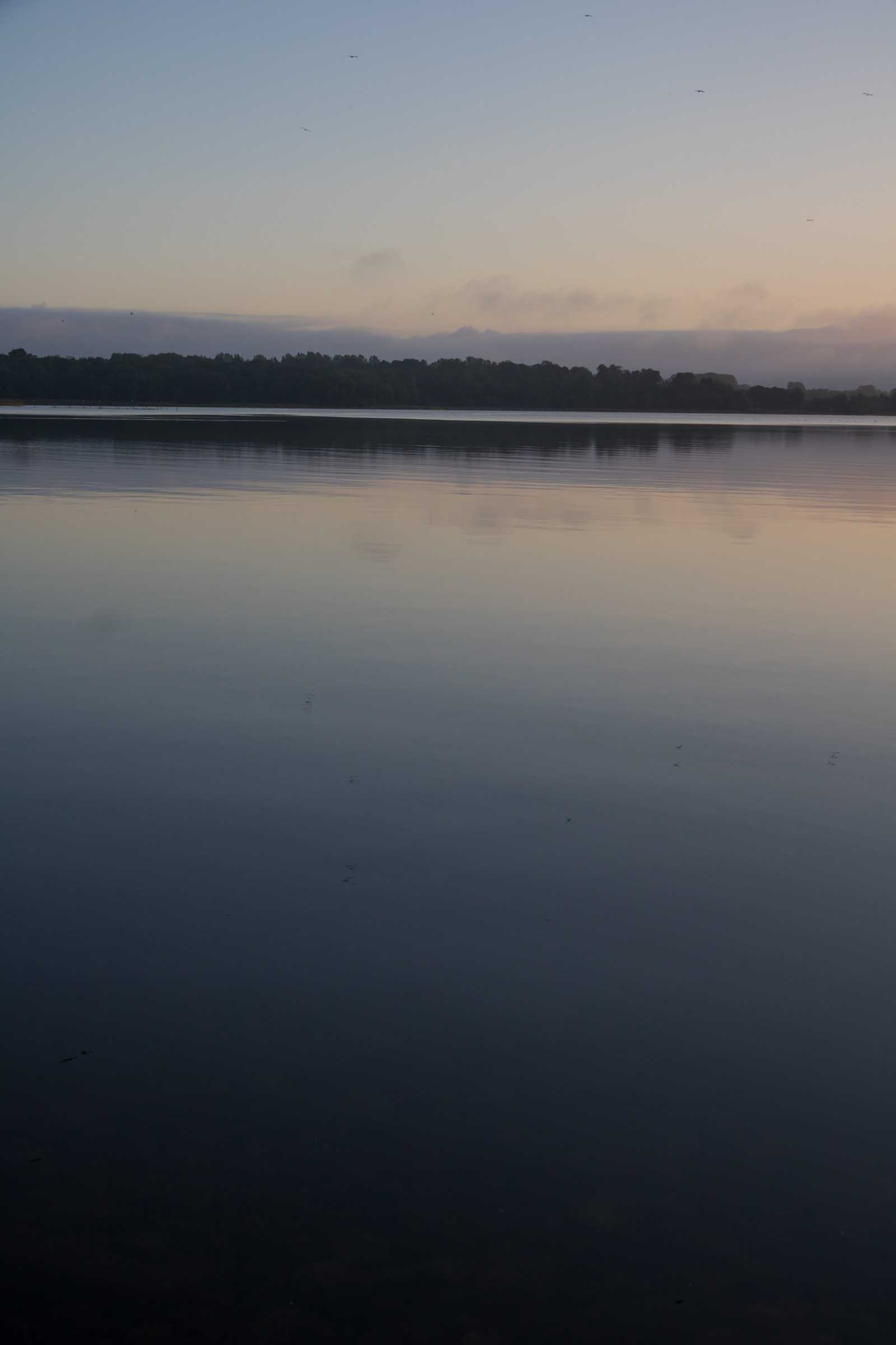 slunečnímu záření, západ slunce, moře, záliv, jezero, voda, pobřeží, odraz, nebe, svítání, večer, ráno, pobřeží, slunce, horizont, atmosféra, soumrak, Klid, klid, mrak, svítání, oceán, vlna, h r, sj, soluppg ng, gryning, exif modelu canoneos760d, geocountry, Kamera aby kánon, geocity, Model fotoaparátu canoneos760d, geostate, geolocation, EXIF čočka efs18200mmf3556is, exif aby kánon, EXIF isospeed 100, exif focallength 28mm, EXIF otvor 71, ringsj n, straringsj n, nádrž, jezero, atmosférický jev, tělo z vody