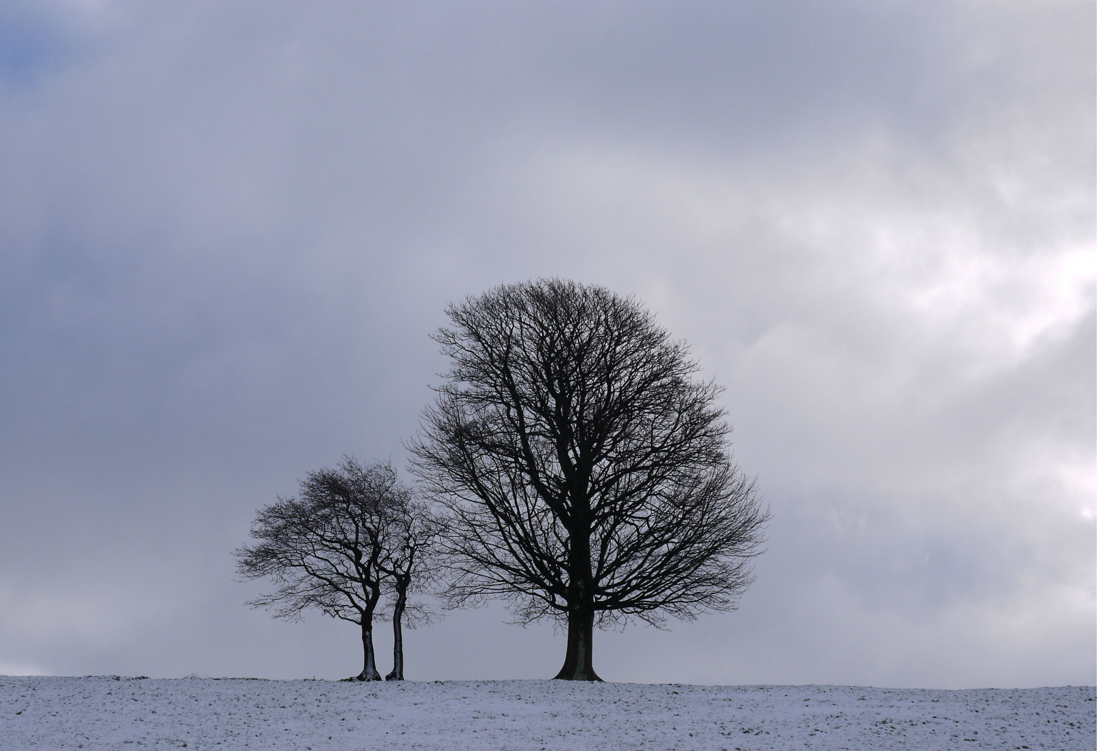 luce del sole, alberi, bianca, natura, cielo, la neve, inverno, campo, nuvole, ramo, ghiaccio, mattina, nebbia, brina, vento, orizzonte, Congelamento, gennaio, nube, albero, nebbia, tempo metereologico, alba, pianta, stagione, fenomeno atmosferico, pianta legnosa