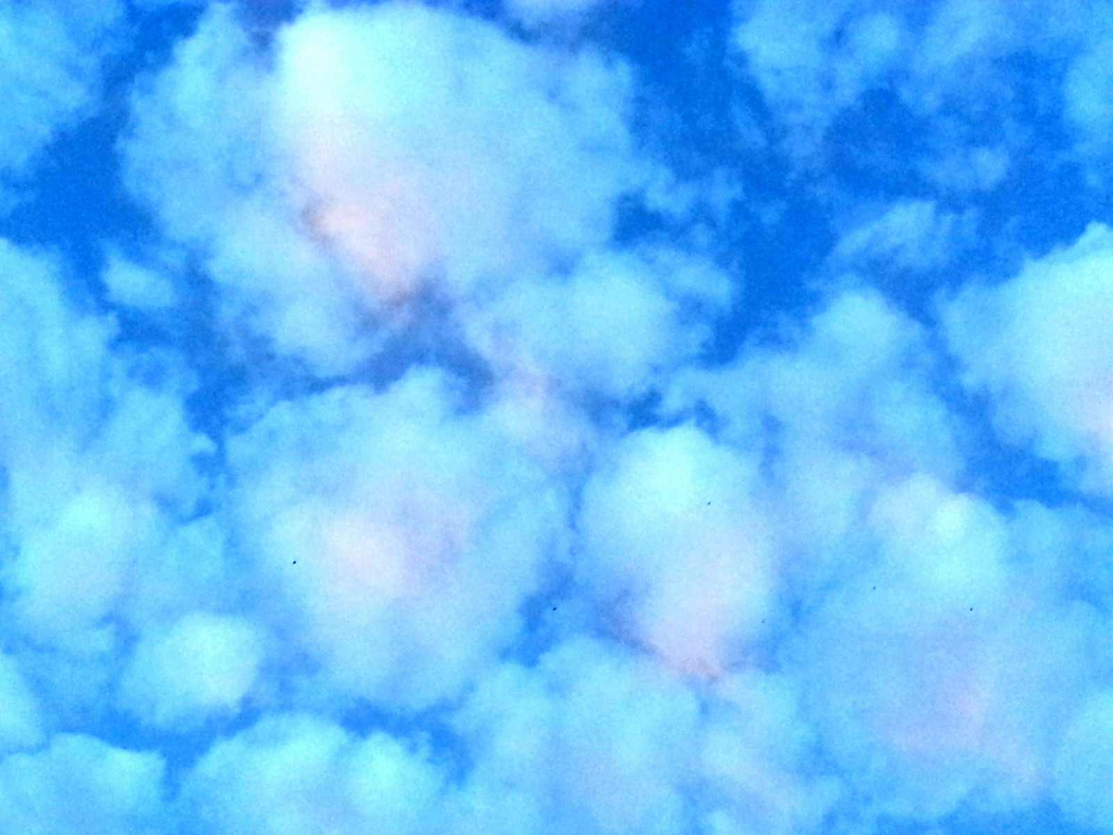 himmel, blå, Sky, dagtimerne, atmosfære, cumulus, atmosfære af jord, azurblå, fænomen, meteorologisk fænomen, struktur, computer tapet, berolige