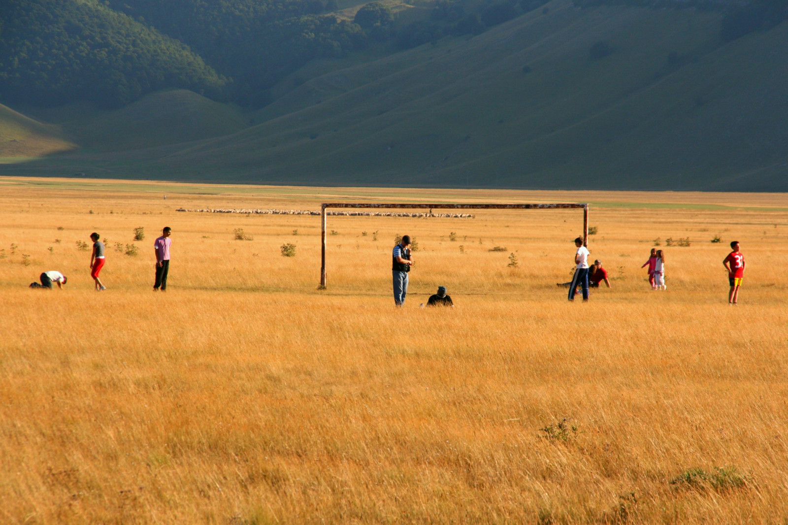 Italia, arancia, uomini, ragazzi, campo, palla, giocare, norcia, Pallone, ragazzi, castelluccio, Giocare, castellucciodinorcia