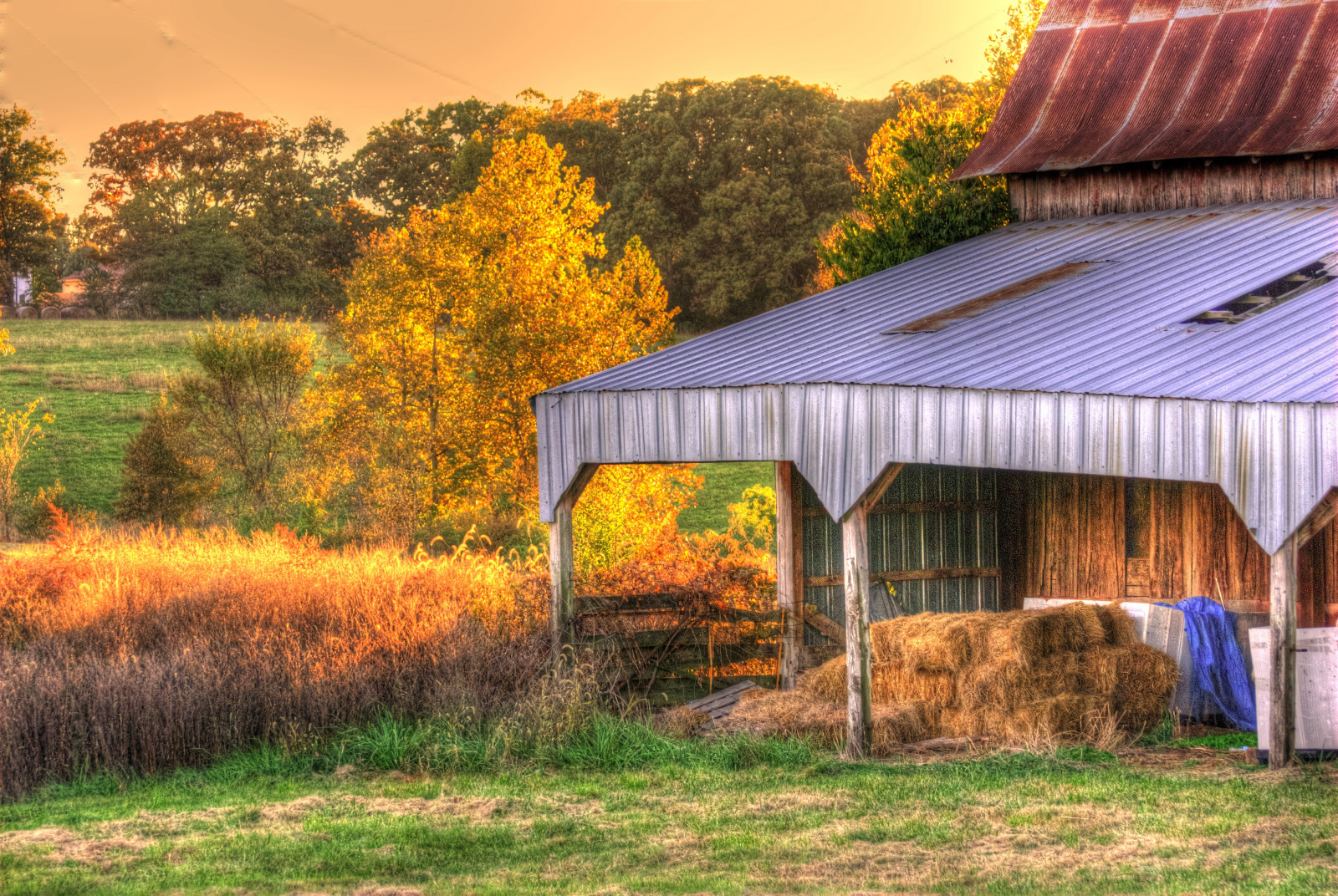 Wallpaper trees, landscape, colorful, fall, sunset, nature, wood