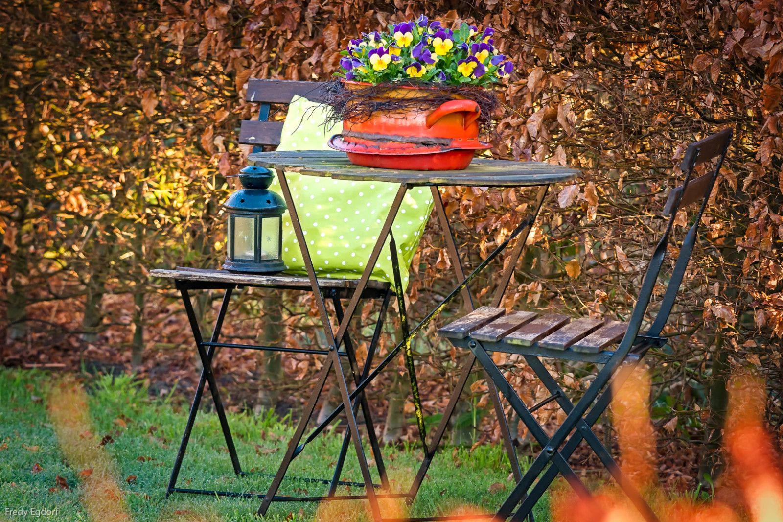 have, parkere, bænk, Bank, baggård, 2016, efterår, blad, blomst, sæson, Stilleben, blumen, bl ti, pscc2017, luminanzmaske, Nordloh, Luminar, entrauscht