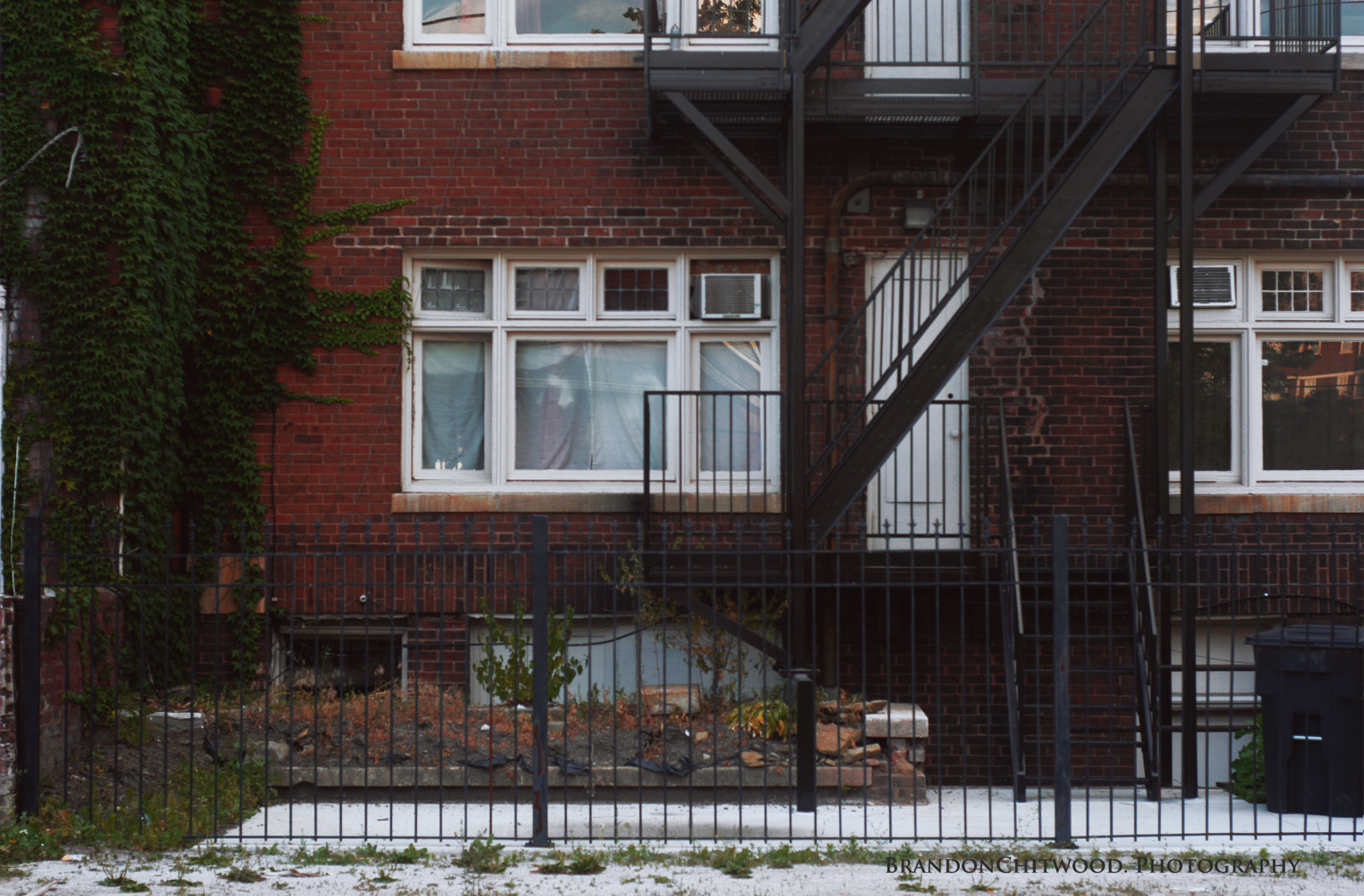 gammel, vindue, have, by, lejligheder, arkitektur, by-, bygning, rød, afspejling, seng, sne, træ, hus, stål, historisk, rust, gardin, smuds, Nikon, bibliotek, sten-, dør, hegn, affald, tråd, trappe, lyse, Kabel, industriel, grus, kvarter, metro, sommerhus, rækværk, baggård, Nord, Mursten, Indianapolis, vedbend, befolkning, ejendom, lys, farve, indre, træ, downtown, NIKKOR, 50mm, dag, blomst, gård, i, voksende, skygge, tag, levende, vægge, hjem, levevis, hed, Midtvesten, forstad, ukrudtsplante, rør, facade, veranda, indiana, byområde, kvarter, boligområde, udendørs struktur, ejendom, 118, d100, sidespor, nødudgang, nær ved, snavs, Northside, klimaanlæg, flikke, barrior, grus, upandcoming, øge