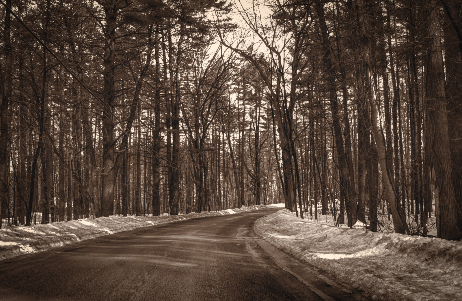 Güneş ışığı, Ağaçlar, orman, Tek renkli, doğa, kar, kış, yol, ahşap, Şube, sabah, HDR, Işık, Ağaç, sonbahar, Yaprak, hava, bitki, sezon, Orman, karanlık, Ormanlık alan, yetişme ortamı, doğal çevre, Atmosferik fenomen, siyah ve beyaz, Tek renkli fotoğrafçılık, Odunsu bitki