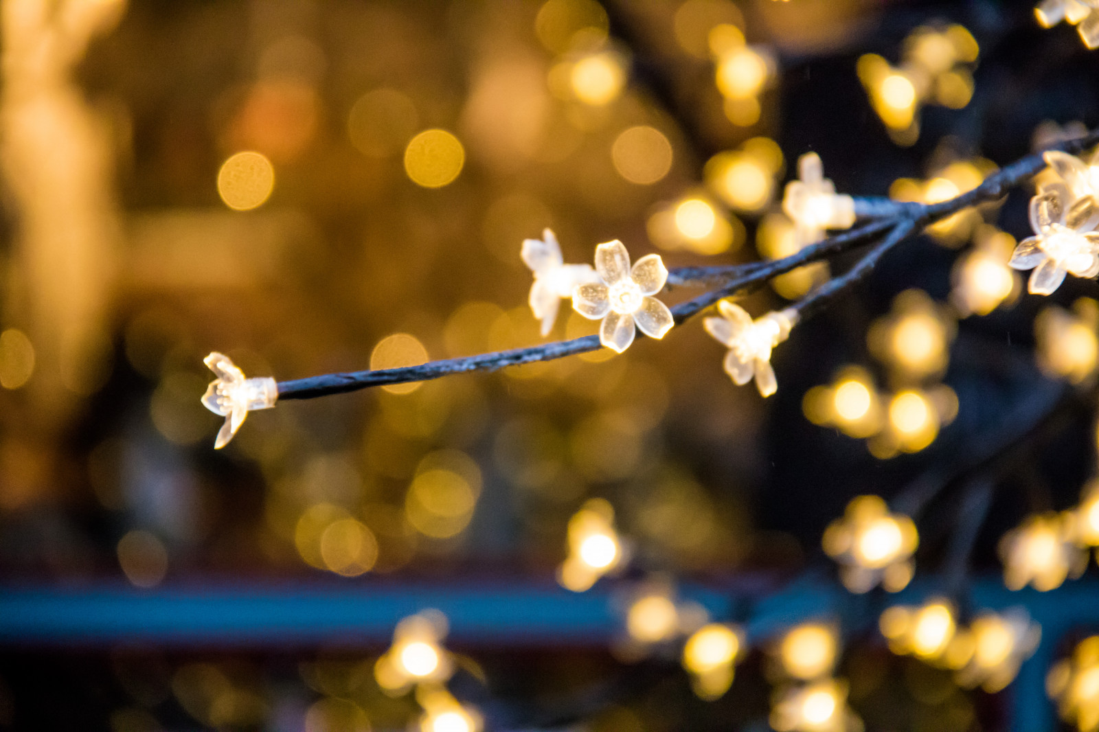 sollys, lys, nat, afdeling, gul, blomst, jul, bokeh, julelys, forår, Danmark, lys, efterår, blad, blomst, plante, sæson, xmas, belysning, juli, danmark, tivoli, exif model canoneos760d, geocountry, kamera gør kanon, geocity, kameramodel canoneos760d, geostate, geolocation, exif linse efs18200mmf3556is, exif åbning 56, exif gøre kanon, exif isospeed 6400, exif focallength 190mm, kopenhavn, k penhamncopenhagen, Kvist, juledekoration, makrofotografering