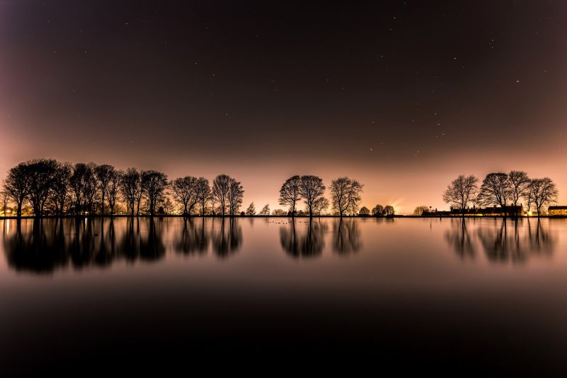pohon, pemandangan, matahari terbenam, danau, malam, refleksi pohon, pemandangan, matahari terbenam, danau, malam, refleksi