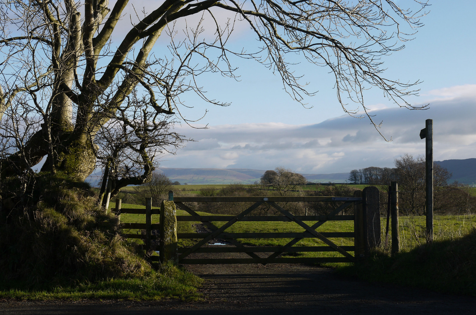 novembre, autunno, albero, erba, luce del sole, nuvole, recinto, paesaggio, campagna, cancello, traccia, citazione, Lancashire, i campi, chipping, pendlehill, footpathsign, Ribble Valley, forestofbowland, longridgefell, leagram, chiwalking, twinsbrookroad
