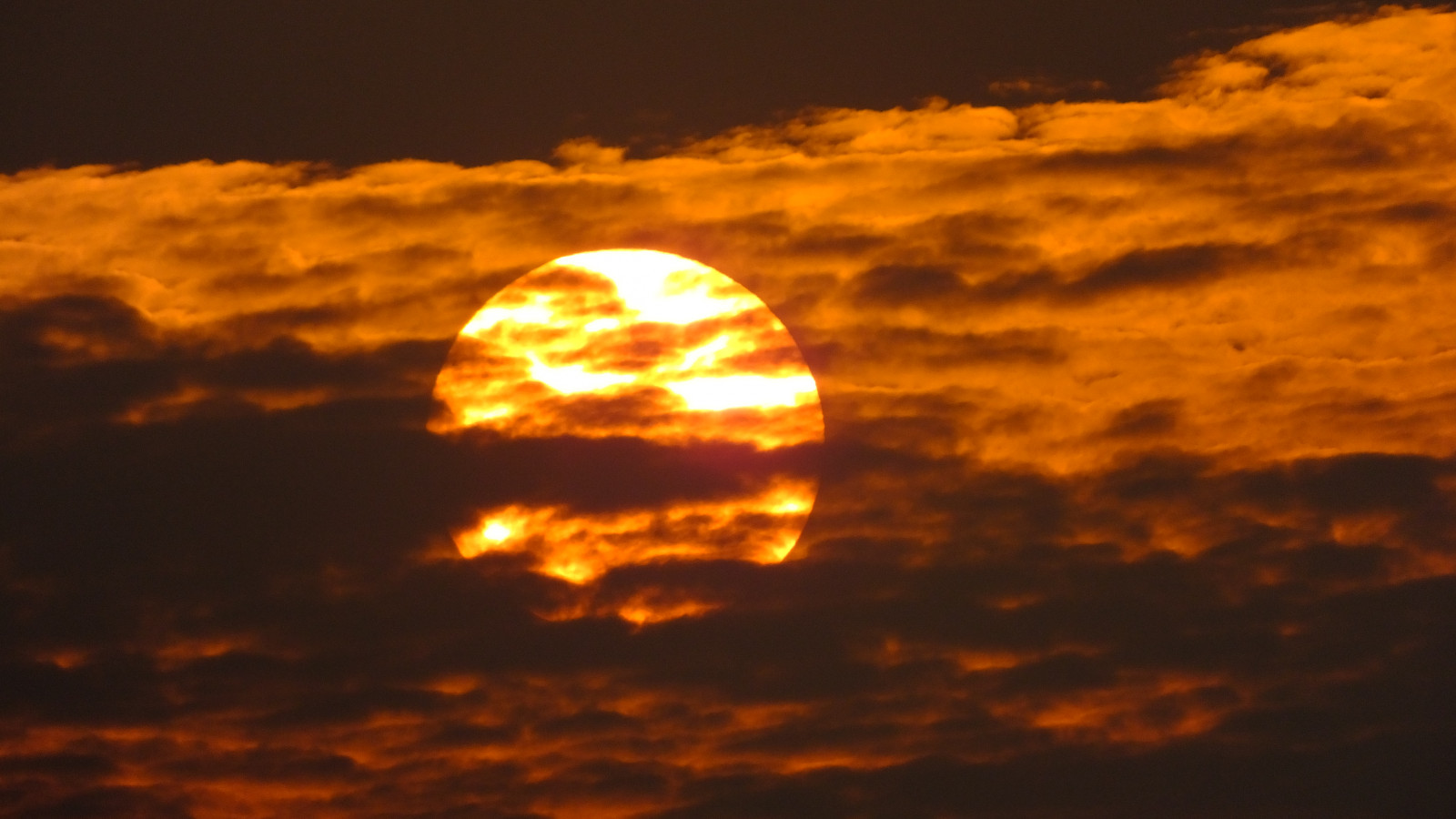 sollys, mennesker, hvid, cosplay, model, sport, solnedgang, nat, rød, afspejling, himmel, vinter, lilla, solopgang, grøn, gul, blå, aften, Sol, Canon, orange, horisont, atmosfære, sommer, Nikon, jul, skumring, lyserød, lykkelig, forår, kæledyr, 2013, Fange, skud, Fokus, lys, Sky, smuk, bøde, rejse, blomst, smuk, dage, vejr, nuttet, daggry, store, plante, naturlig, Foto, sjov, sjovt, pæn, sexet, spil, peole, p, stjerne, fantastiske, placere, hed, spekulerer, billede, perfektionere, abigfave, nyheder, efterglød, himmellegeme, rød himlen om morgenen, meteorologisk fænomen, ph, system, hit, vist, aminal, portrail, Tavel, lcoation, præfekten, smålige