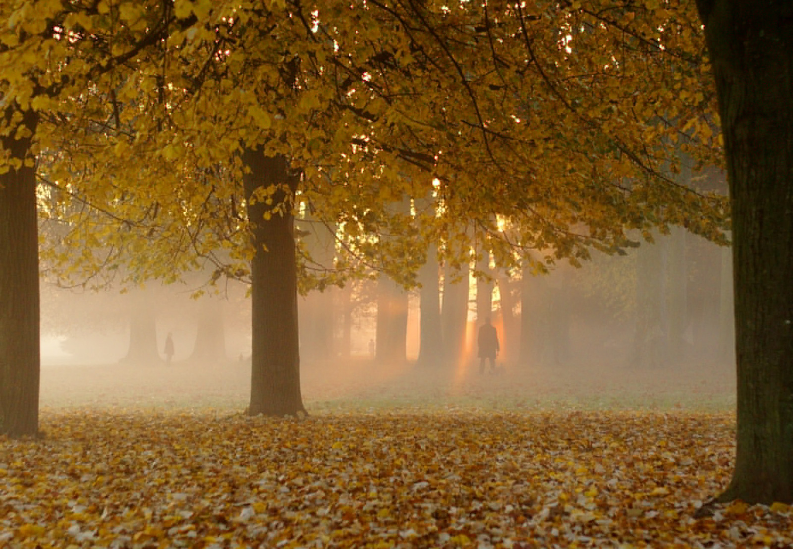 park, ulice, město, městský, Francie, svítání, město, Evropa, Lyon, streetphotography, jardin, Rhone, 69, litovat, Jardins, ville, svítání, publicgarden, městský život, Croixrousse, parcdelatetedor, Rhône-Alpes, photoderue, leverdujour, Urbanlifecandid, jardinpublicgarden