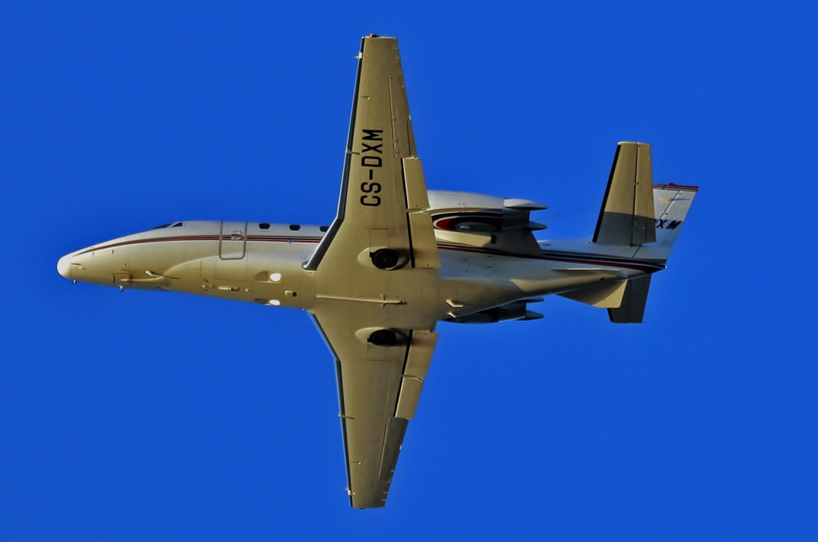 vozidlo, letoun, letadlo, vojenská letadla, Newcastle, letectvo, Let, Vzlétnout, letoun, letectví, proud, křídlo, letecká linka, Atmosféra Země, stíhací letoun, letecký motor, proudová letadla, lehká letadla, bizjet, businessjet, executiveaviation