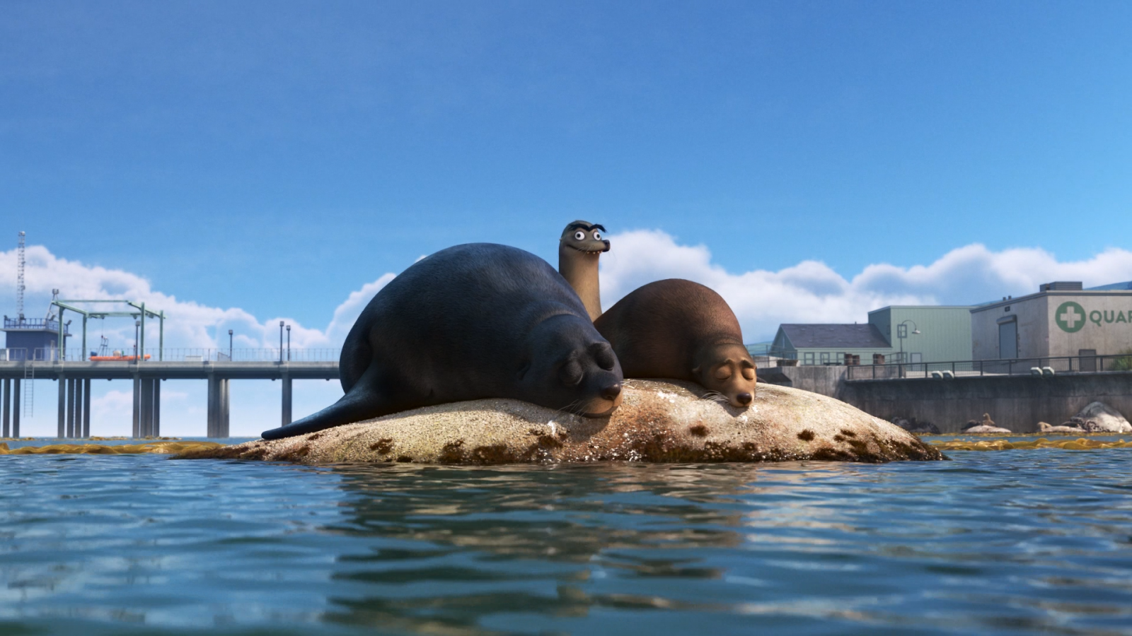 moře, filmy, animované filmy, Pixar Animation Studios, nález Dory, Disney Pixar, těsnění, savec, mořští savci, velryby delfínů a sviňuch, zabijácká velryba