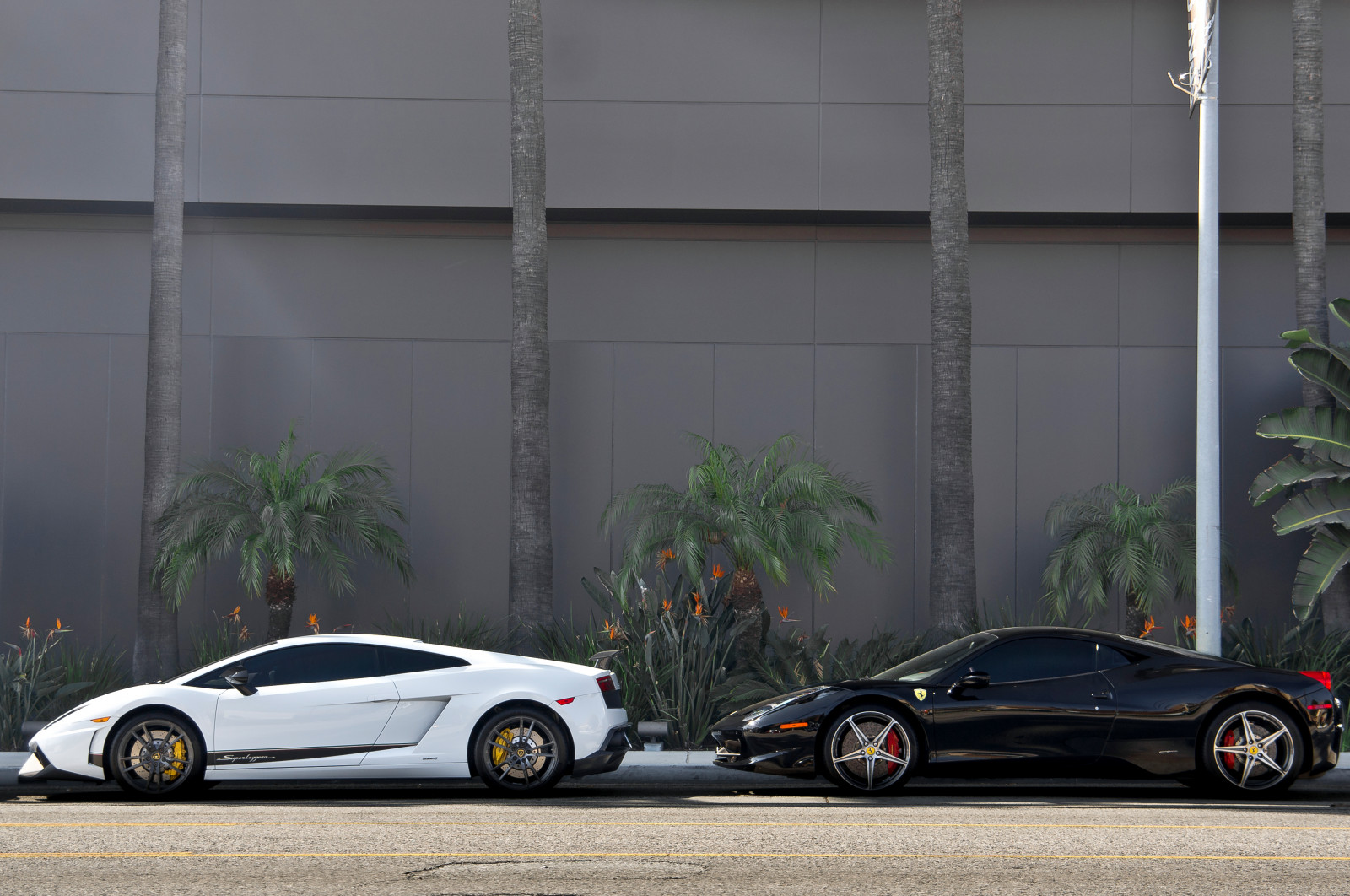 สีขาว, ดำ, ถนน, อิตาลี, รถ, อาคาร, ยานพาหนะ, ถนน, การถ่ายภาพ, โรงแรม, ภูเขา, Lamborghini, โซนี่, หรูหรา, ยุโรป, รถสปอร์ต, Ferrari, ขับรถ, รถเก๋ง, ขอบ, ฮอลลีวู้ด, ประสิทธิภาพรถ, Hypercar, Superleggera, อิตาลี, แปลกใหม่, ซีดาน, หายาก, Equinox, DR, flickr, สำรวจ, รูปภาพ, อิตาลี, ล้อ, รถ, เซ็กซี่, อำนาจ, los, อัตโนมัติ, nex, รถยนต์, ขอบ, hyper, ร้อน, ซูเปอร์คาร์, รวดเร็ว, นางฟ้า, งดงาม, ภาพ, รูป, ภาพ, sonynex5n, พิเศษ, losangeles, ยุโรป, รถยนต์, 458, worldcars, hp, carspotting, Lambo, exotics, ภาพพิมพ์ภาพ, ปศุสัตว์, beverlyhills, rodeodrive, beverly, จำกัด, Wilshire, แรงม้า, คนรับใช้, หรูหรา, carhunting, 5n, ยานพาหนะบก, การออกแบบยานยนต์, ภายนอกยานยนต์, รถแข่ง, รถหรู, ยานยนต์, รถหรูส่วนบุคคล, รถผู้บริหาร, รถเมือง, lp580, automotive wheel system