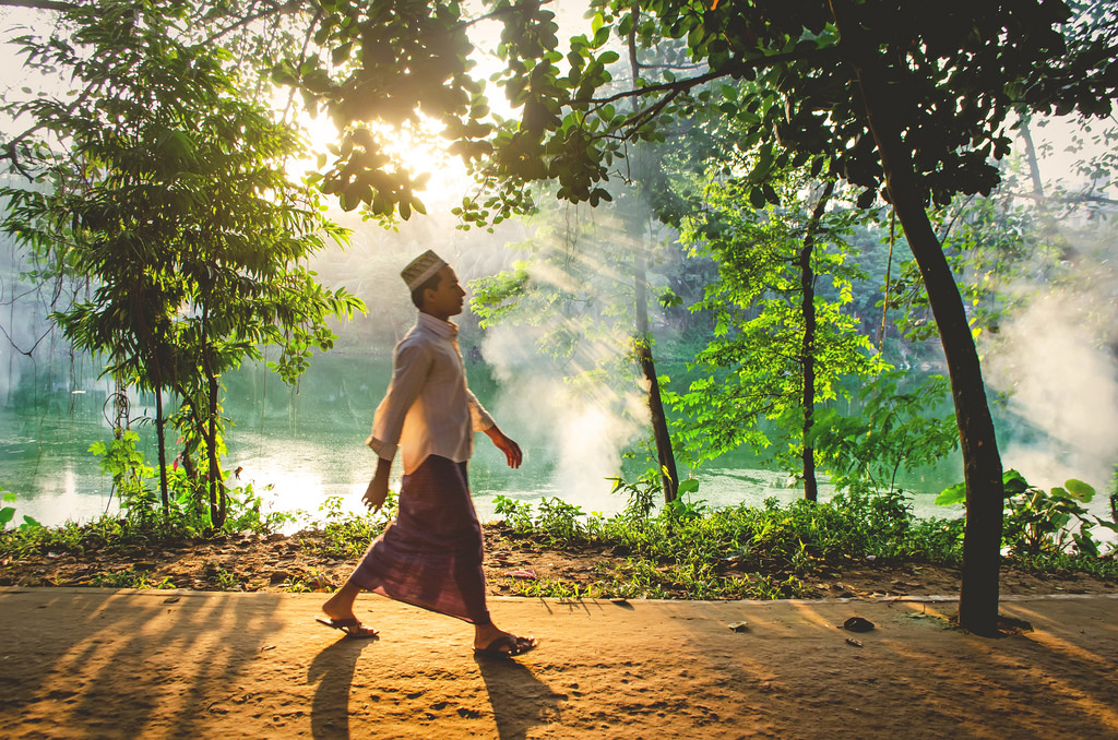 Wallpaper : sunlight, forest, people, street, knight, hope, Nikon