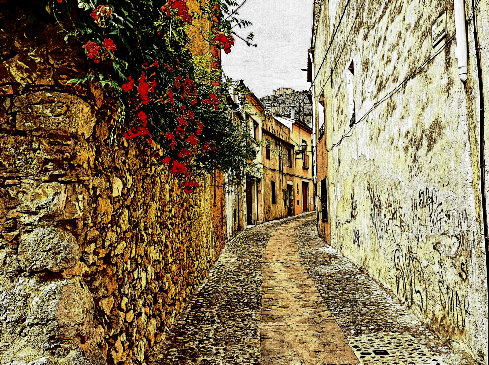 ถนน, หิน, ท้องฟ้า, ผนัง, ถนน, การ์ตูน, หมู่บ้าน, ประวัติศาสตร์, สเปน, คาตาโลเนีย, Catalunya, ต้นไม้, ซอย, ซุ้ม, espagne, espana, spanje, costabrava, baixempord, cataloni, torroellademontgr