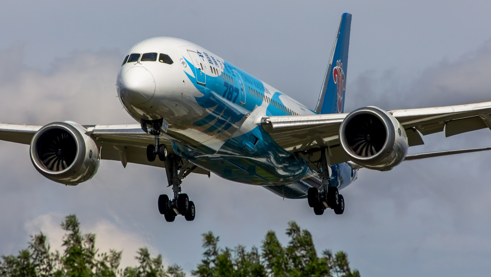 Čína, stromy, odraz, Londýn, letoun, letiště, tělo, jižní, myrta, Boeing, přístup, avenue, avion, LHR, vliegtuig, vliegveld, 787, Teplo, Dreamliner