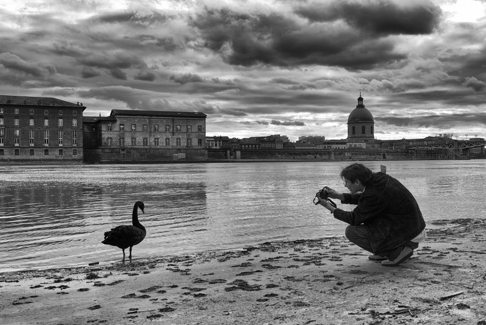 Leica, Černá, hrob, svatý, Los Angeles, labuť, Noir, fuji, Pierre, pont, MM, Toulouse, 36, Garonne, cygne, dieu, X1, Daurade, hotel, photographe