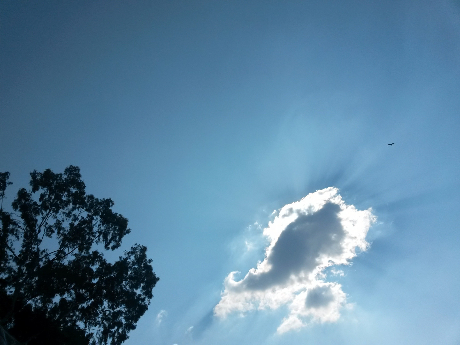 แสงแดด, ไฟ, ท้องฟ้า, เมฆ, สีน้ำเงิน, ดวงอาทิตย์, ขอบฟ้า, บรรยากาศ, พลบค่ำ, เบา, เมฆ, กลางวัน, บรรยากาศของโลก, ปรากฏการณ์ทางอุตุนิยมวิทยา, Cumulus