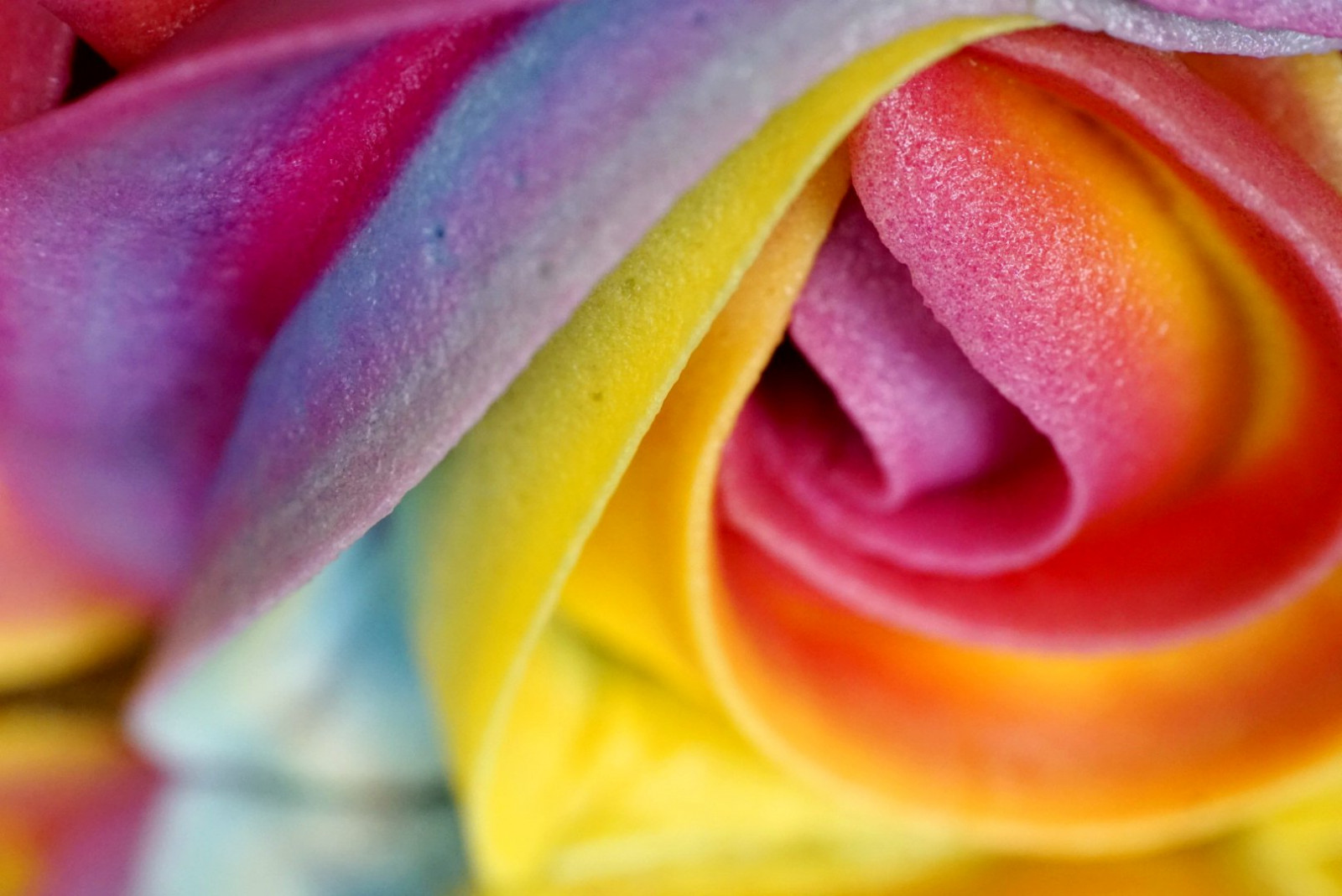 abstraktní, dort, barvy, námraza, Pinata, dcr250, raynox, creativephotography, macromondays, vibrantminimalism, ilce6000, sonya6000