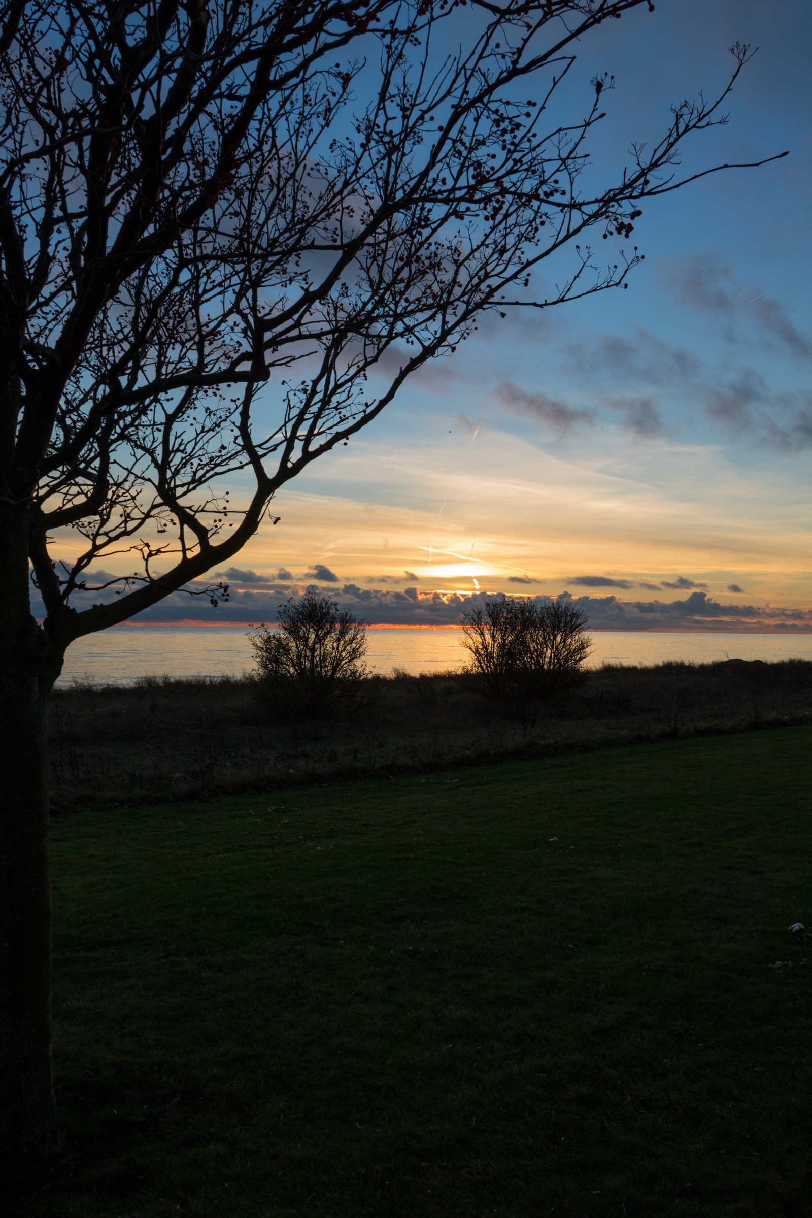 Sonnenlicht, Landschaft, Sonnenuntergang, Meer, Natur, Gras, Himmel, Ast, Sonnenaufgang, Abend, Morgen, Küste, Sonne, Horizont, Dämmerung, Wolke, Baum, Dämmerung, Pflanze, Himmel, Solnedg ng, Tr d, Hav, Geschmolzen, Trelleborg, Kust, Exif Modell canoneos760d, Geocountry, Kamera macht canon, Geocity, Kameramodell canoneos760d, Geostate, Geolocation, Exif linse efs18200mmf3556is, Exif machen canon, Exif isospeed 100, Exif Blende 80, Exif focallength 18mm, ländliches Gebiet, Atmosphärisches Phänomen, Holzige Pflanze