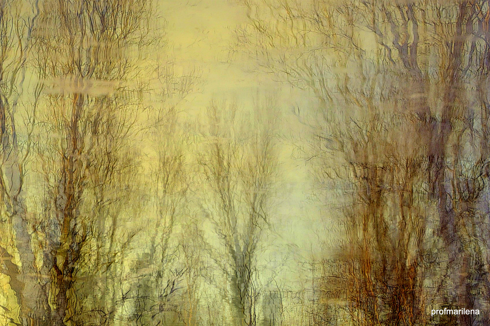 Sonnenlicht, Malerei, Wald, Collage, Betrachtung, Mauer, Kunstwerk, Holz, Ast, Grün, Textur, Birke, KUNST, Baum, Herbst, Blatt, Pflanze, Material, kreativ, Wasserreflexionen, Wald, Lebensraum, Holzige Pflanze, Kofferraum, Impressionist