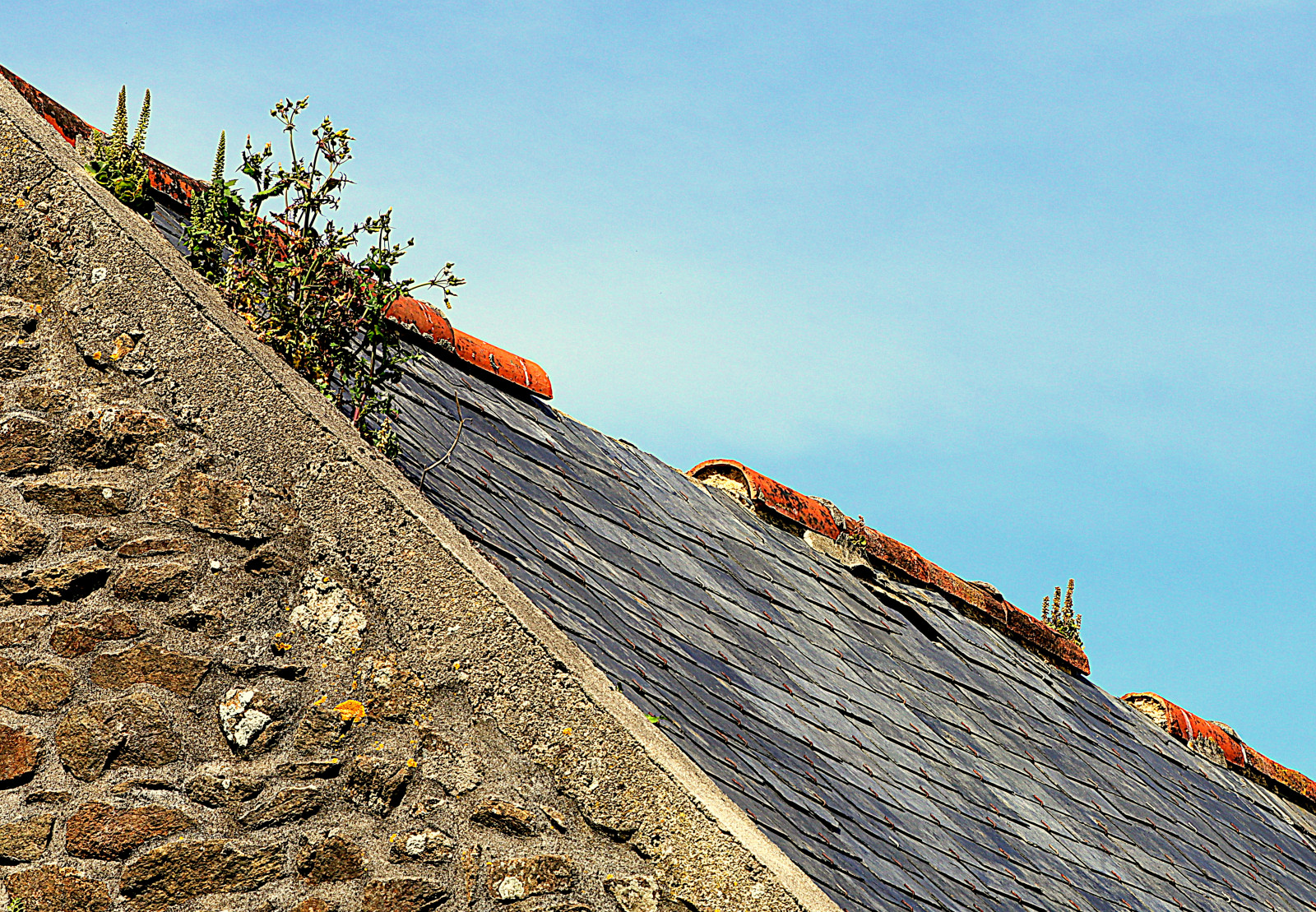 vrag, ødelagt, gået i stykker, opgive, oubli, glemt, ruin, Ruine, henfald, gammel, hus, gård, manufactury, ferme, vieux, rusten, rouille, tag, toit, Plouguin, Bretagne, Finistere, Bretagne, rue, bretagne, saintpabu, Pabu, Ploudalmezeau, Frankrig, Breiz