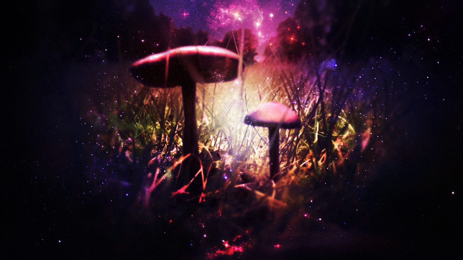 paesaggio, arte digitale, notte, spazio, cielo, piante, stelle, fungo, leggero, prestazione, palcoscenico, oscurità, concerto, effetti speciali